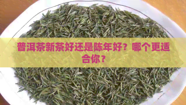 普洱茶新茶好还是陈年好？哪个更适合你？