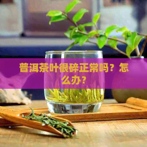 普洱茶叶很碎正常吗？怎么办？