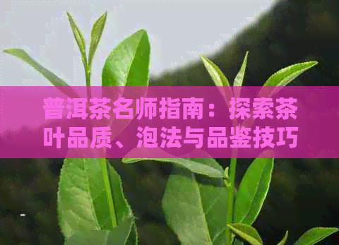 普洱茶名师指南：探索茶叶品质、泡法与品鉴技巧，让您成为真正的普洱茶专家