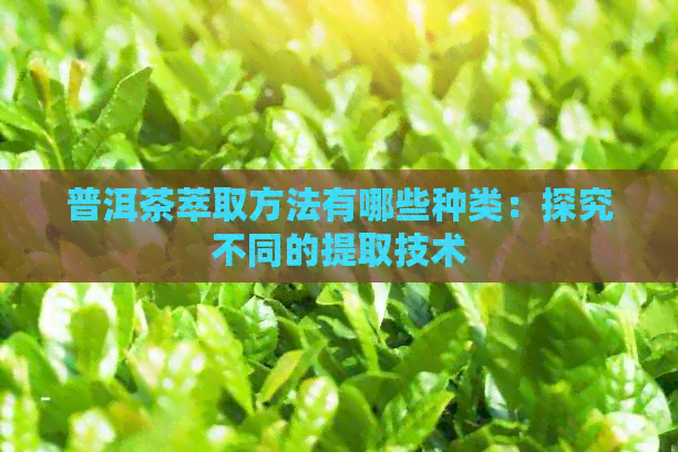 普洱茶萃取方法有哪些种类：探究不同的提取技术