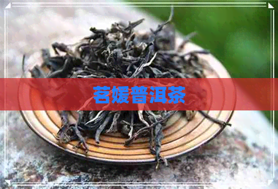 茗媛普洱茶