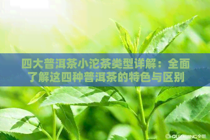 四大普洱茶小沱茶类型详解：全面了解这四种普洱茶的特色与区别