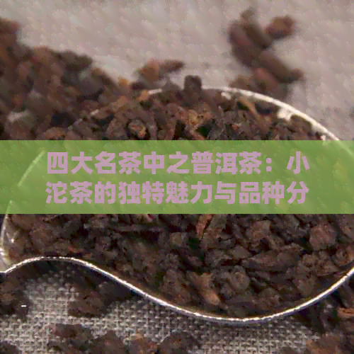 四大名茶中之普洱茶：小沱茶的独特魅力与品种分类