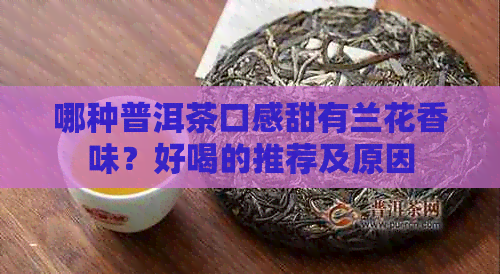 哪种普洱茶口感甜有兰花香味？好喝的推荐及原因