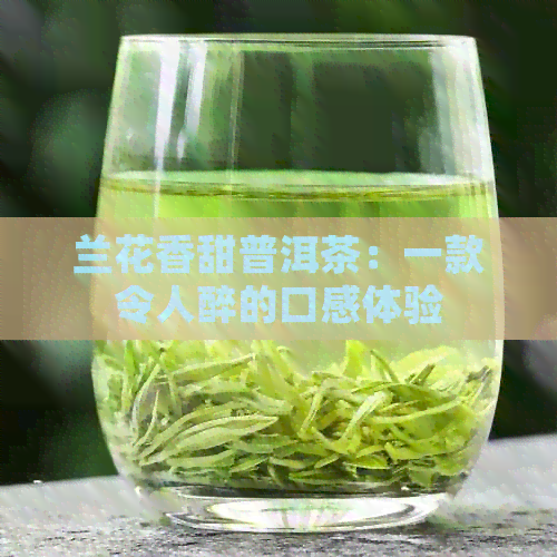 兰花香甜普洱茶：一款令人醉的口感体验