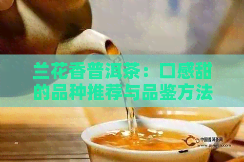 兰花香普洱茶：口感甜的品种推荐与品鉴方法解析