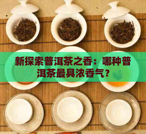 新探索普洱茶之香：哪种普洱茶更具浓香气？