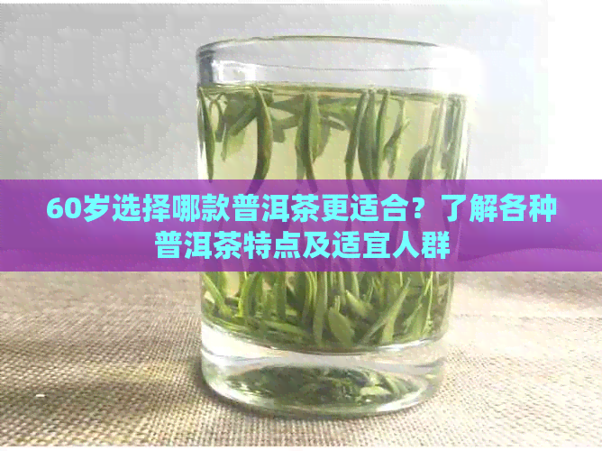 60岁选择哪款普洱茶更适合？了解各种普洱茶特点及适宜人群