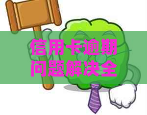 信用卡逾期问题解决全指南，你不可不知的处理技巧