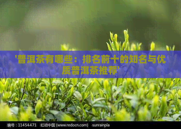 '普洱茶有哪些：排名前十的知名与优质普洱茶推荐'