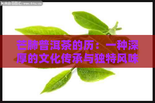 芒肺普洱茶的历：一种深厚的文化传承与独特风味的结合