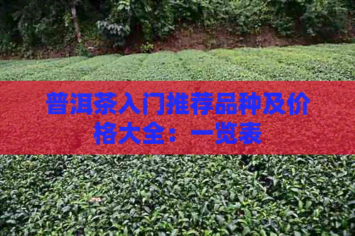 普洱茶入门推荐品种及价格大全：一览表