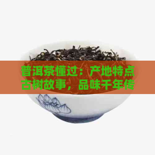 普洱茶懂过：产地特点古树故事，品味千年传承！