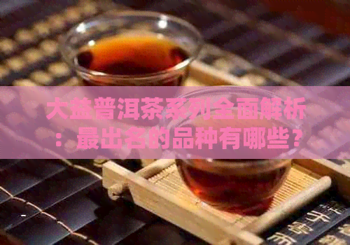 大益普洱茶系列全面解析：最出名的品种有哪些？