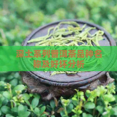 深土系列普洱茶品种名称及好坏分析