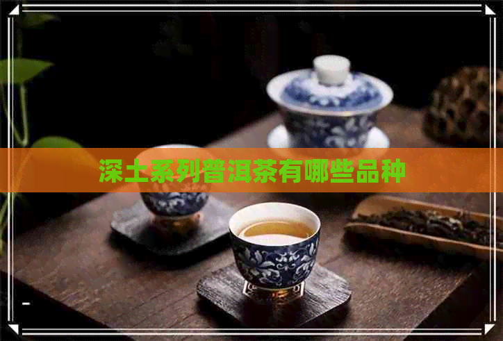 深土系列普洱茶有哪些品种