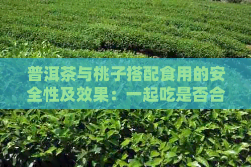 普洱茶与桃子搭配食用的安全性及效果：一起吃是否合适？