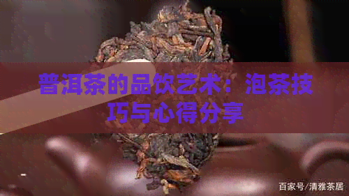 普洱茶的品饮艺术：泡茶技巧与心得分享