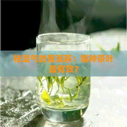 祛湿气的普洱茶：哪种茶叶最有效？