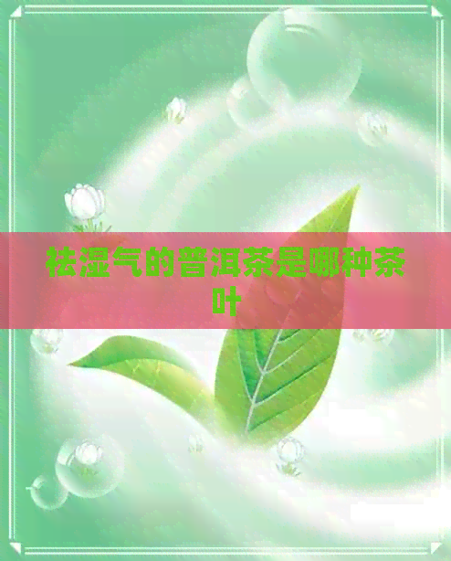 祛湿气的普洱茶是哪种茶叶