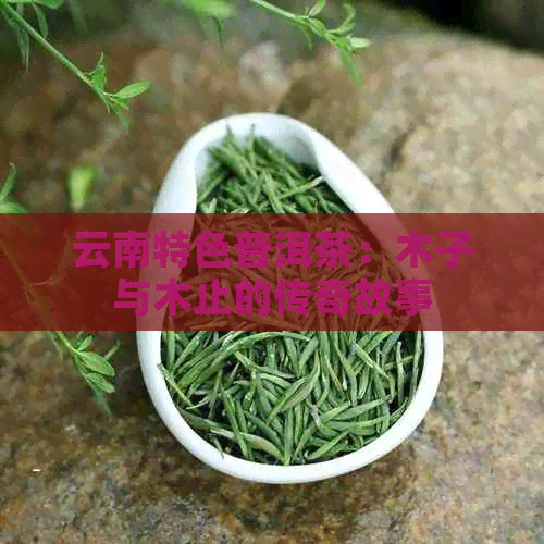 云南特色普洱茶：木子与木止的传奇故事