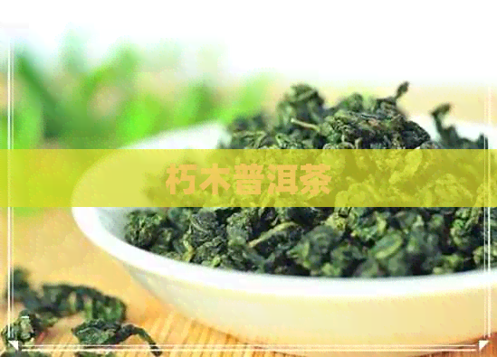 朽木普洱茶