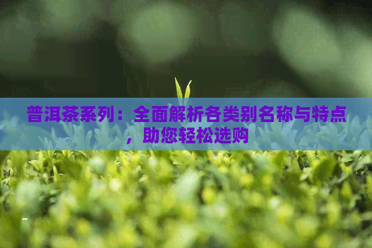 普洱茶系列：全面解析各类别名称与特点，助您轻松选购