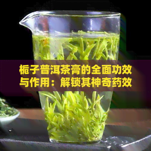 栀子普洱茶膏的全面功效与作用：解锁其神奇药效与健益处