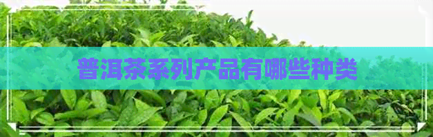 普洱茶系列产品有哪些种类