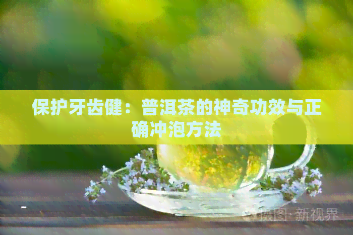 保护牙齿健：普洱茶的神奇功效与正确冲泡方法