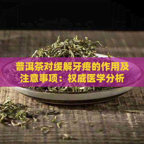 普洱茶对缓解牙疼的作用及注意事项：权威医学分析