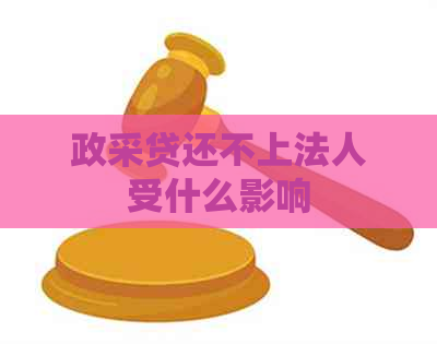 政采贷还不上法人受什么影响