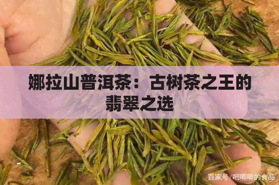 娜拉山普洱茶：古树茶之王的翡翠之选