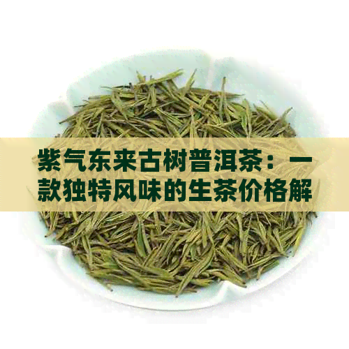 紫气东来古树普洱茶：一款独特风味的生茶价格解析