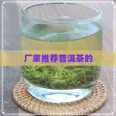 厂家推荐普洱茶的