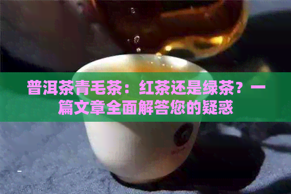 普洱茶青毛茶：红茶还是绿茶？一篇文章全面解答您的疑惑