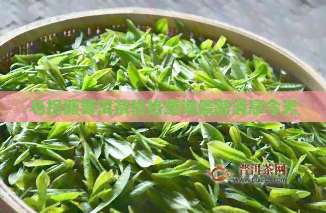 马拐塘普洱茶价格查询最新消息今天