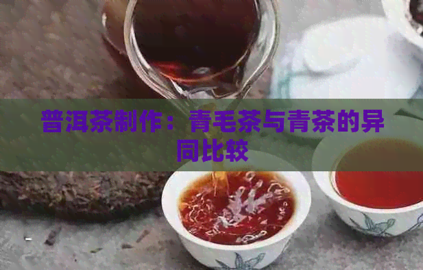 普洱茶制作：青毛茶与青茶的异同比较