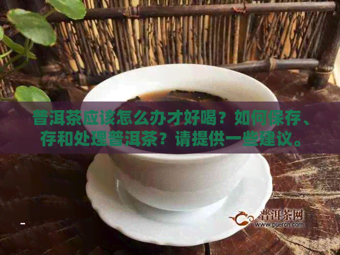 普洱茶应该怎么办才好喝？如何保存、存和处理普洱茶？请提供一些建议。