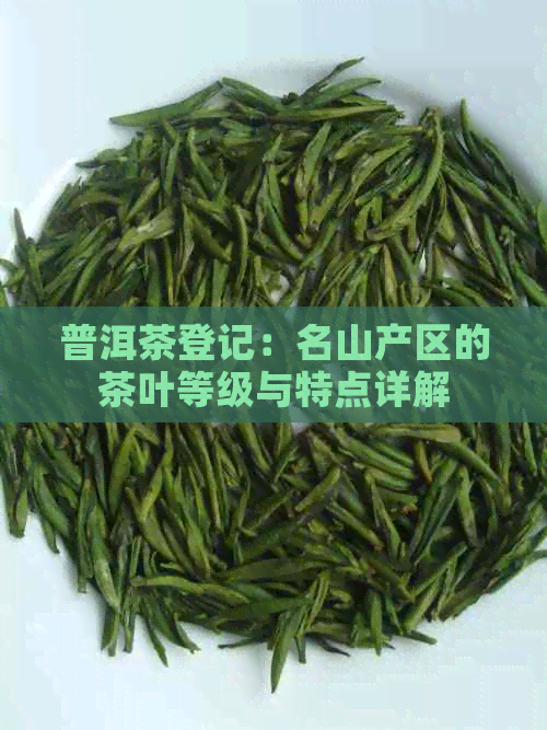 普洱茶登记：名山产区的茶叶等级与特点详解