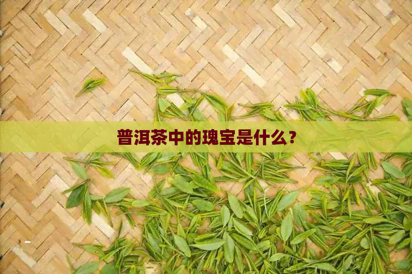 普洱茶中的瑰宝是什么？