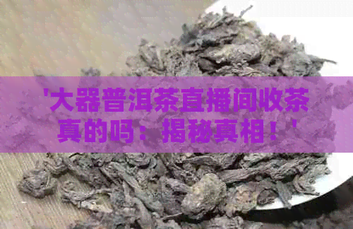 '大器普洱茶直播间收茶真的吗：揭秘真相！'