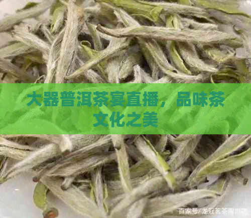 大器普洱茶宴直播，品味茶文化之美