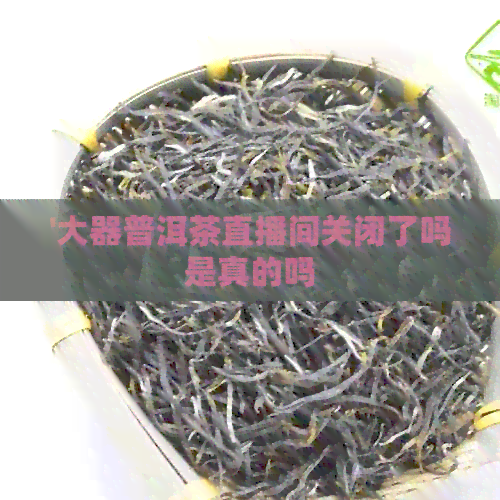 '大器普洱茶直播间关闭了吗是真的吗