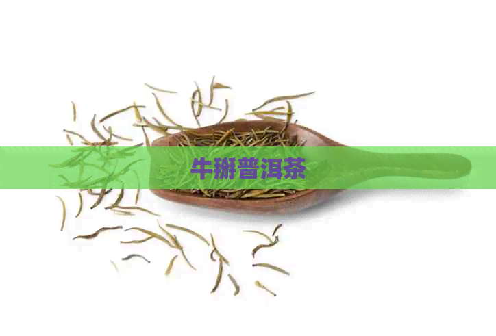 牛掰普洱茶