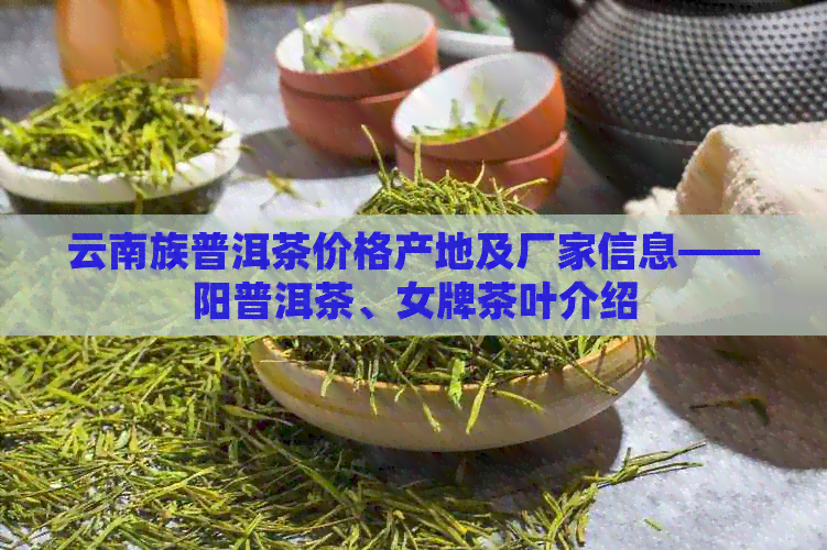 云南族普洱茶价格产地及厂家信息——阳普洱茶、女牌茶叶介绍