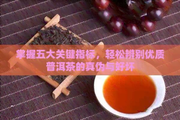 掌握五大关键指标，轻松辨别优质普洱茶的真伪与好坏