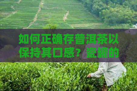 如何正确存普洱茶以保持其口感？瓷罐的存放技巧和注意事项