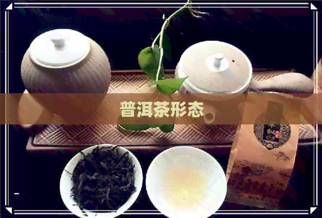 普洱茶形态