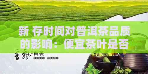 新 存时间对普洱茶品质的影响：便宜茶叶是否也有优质陈化的可能？